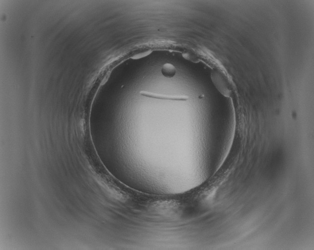 X0000069830063200605221217