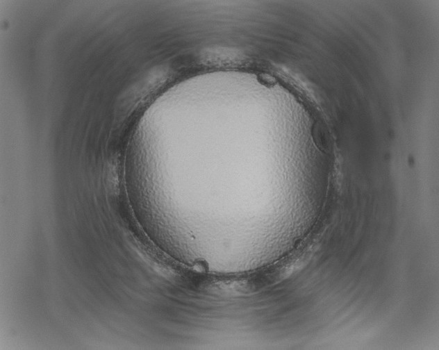 X0000069830065200605221217