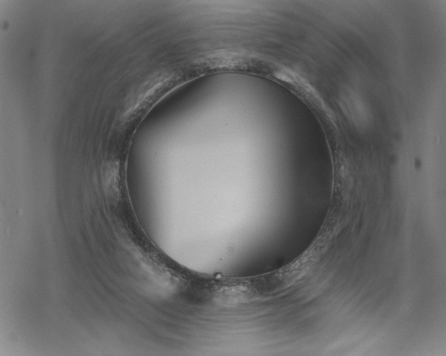 X0000069830066200605221217