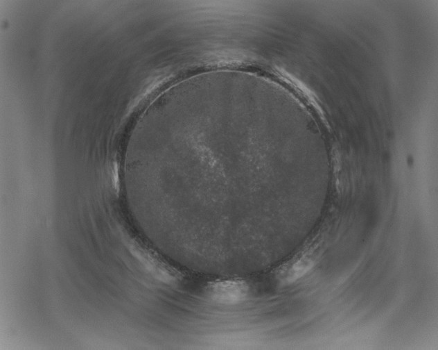 X0000069830067200605221217