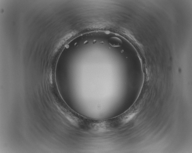 X0000069830068200605221217