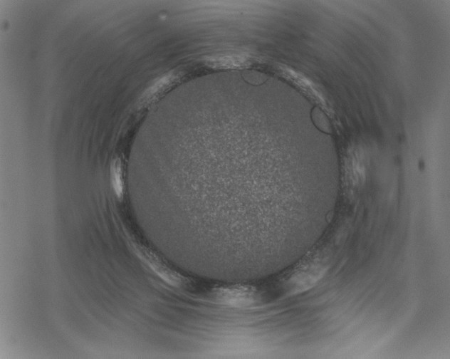 X0000069830069200605221217