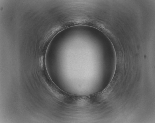 X0000069830070200605221217