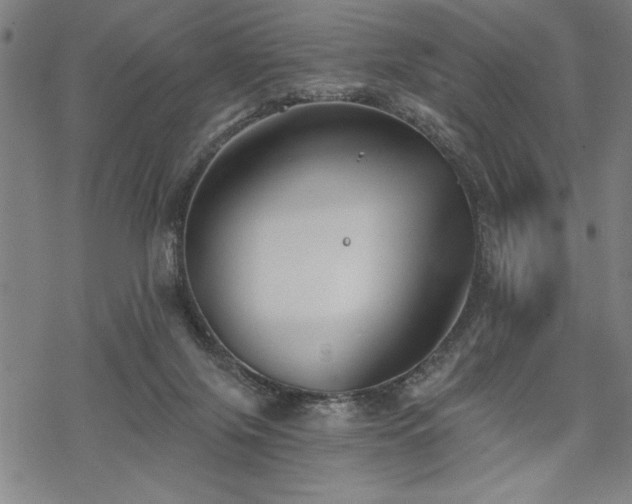 X0000069830071200605221217