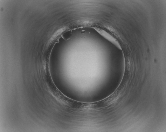 X0000069830072200605221217