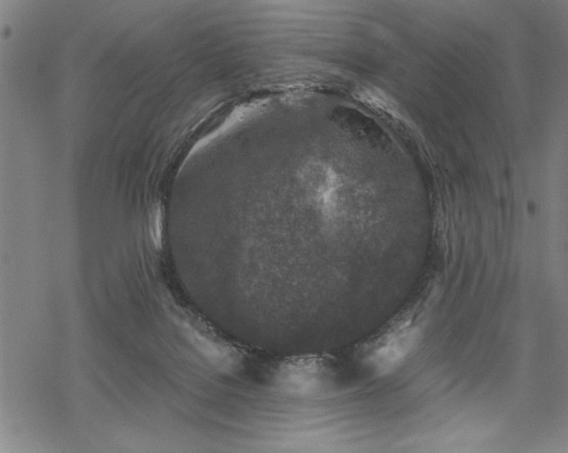 X0000069830076200605221217