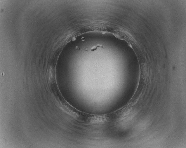 X0000069830077200605221217