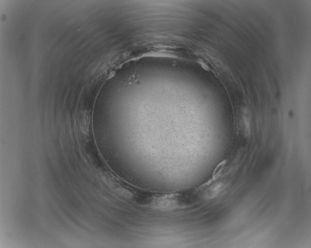 X0000069830078200605221217