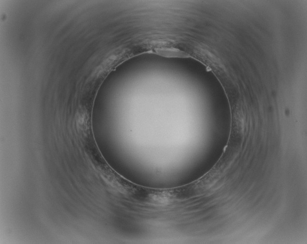 X0000069830079200605221217