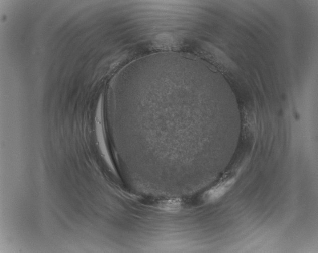 X0000069830080200605221217