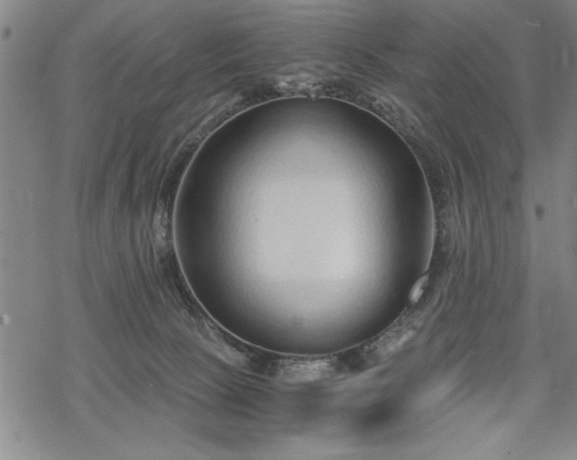 X0000069830081200605221218