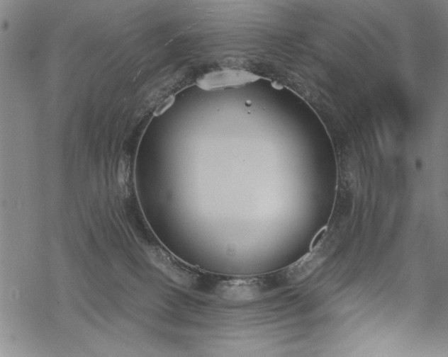 X0000069830082200605221218