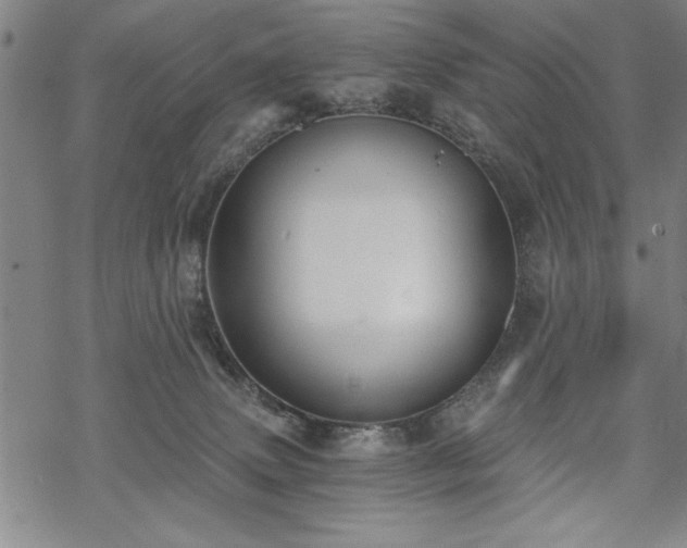 X0000069830083200605221218