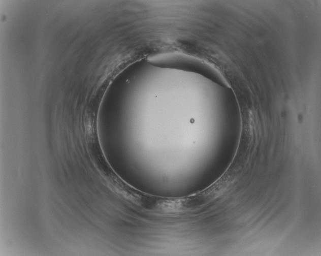 X0000069830084200605221218