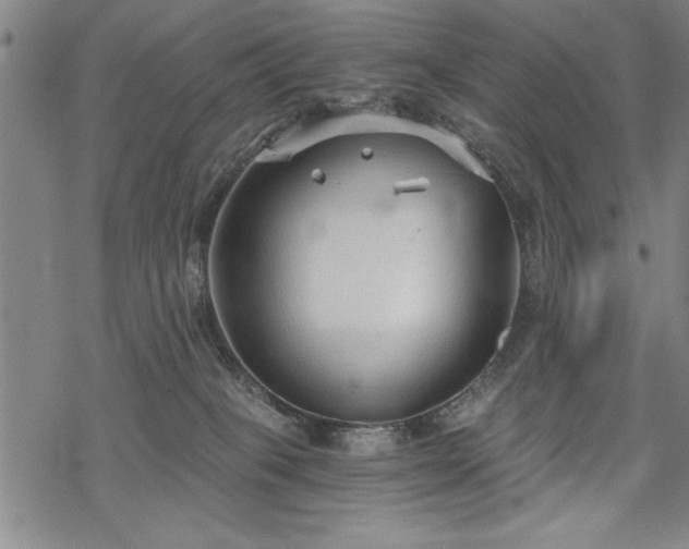 X0000069830085200605221218