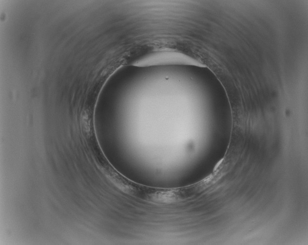 X0000069830086200605221218