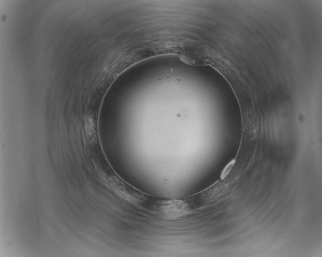 X0000069830087200605221218