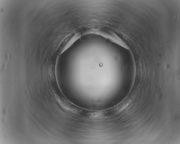 X0000069830088200605221218