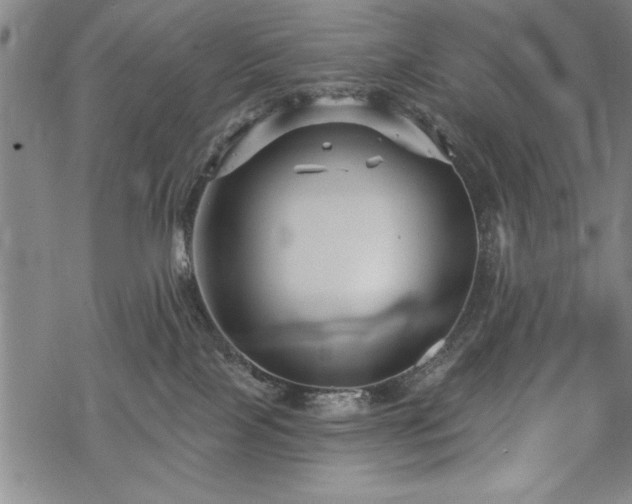 X0000069830089200605221218