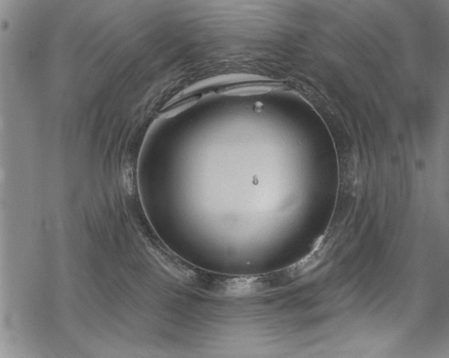 X0000069830090200605221218