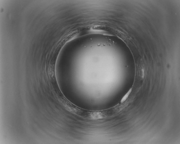 X0000069830091200605221218