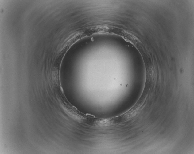 X0000069830092200605221218