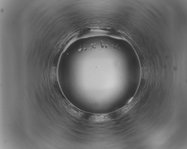 X0000069830093200605221218