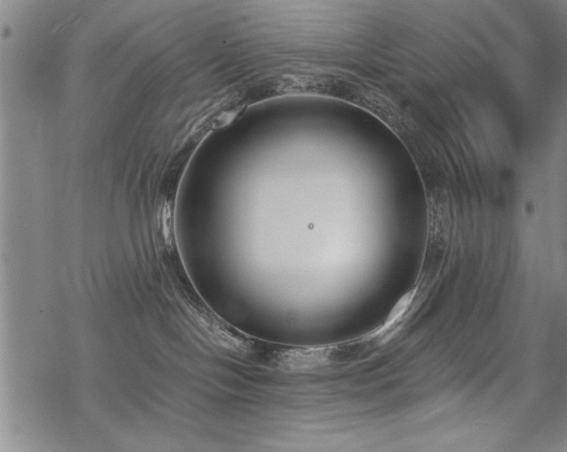 X0000069830094200605221218