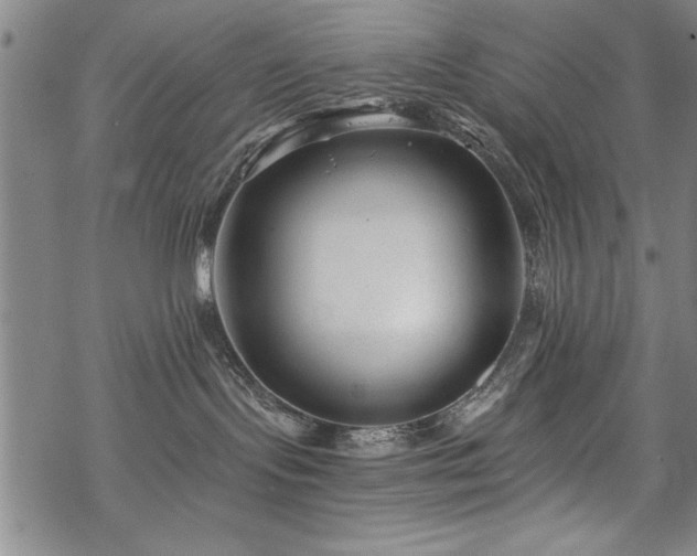 X0000069830095200605221218