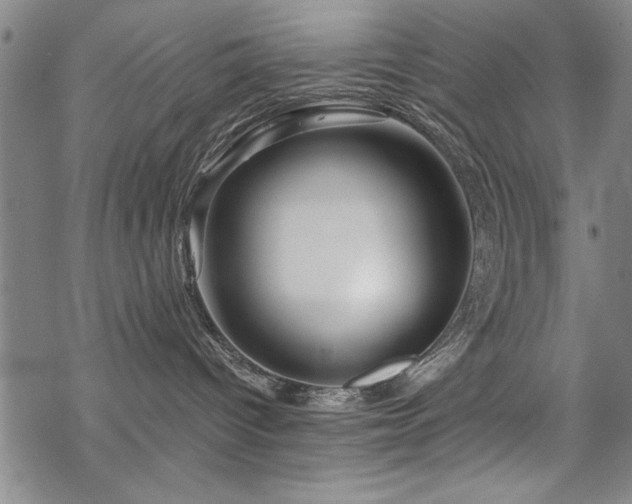 X0000069830096200605221218