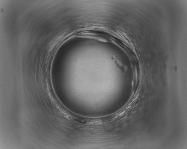 X0000069830097200605221217