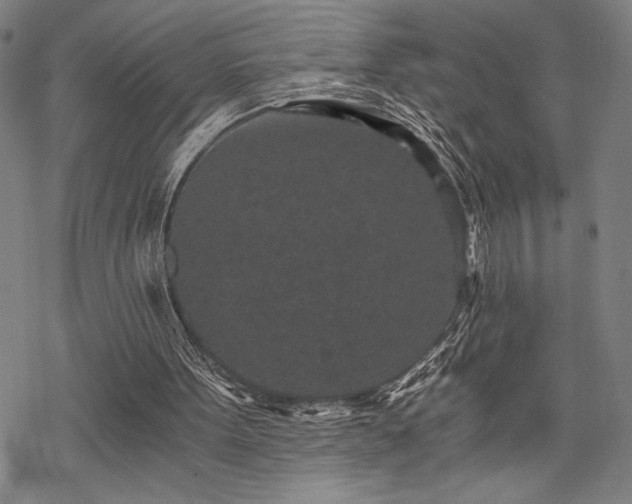 X0000069830099200605221217