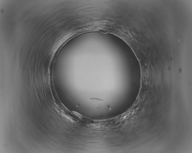 X0000069830100200605221217