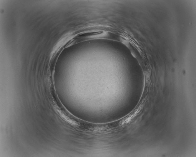 X0000069830101200605221217