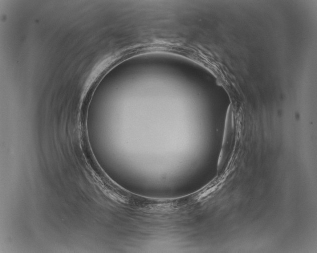 X0000069830102200605221217