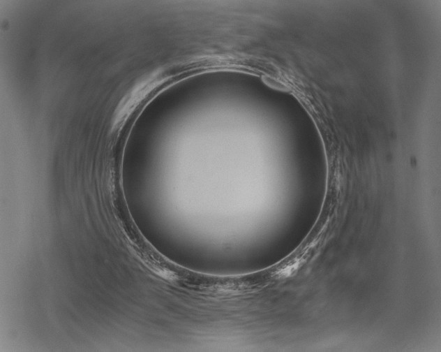 X0000069830103200605221217