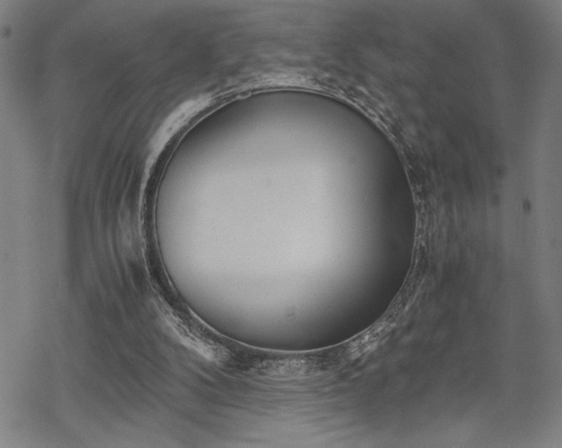 X0000069830104200605221217