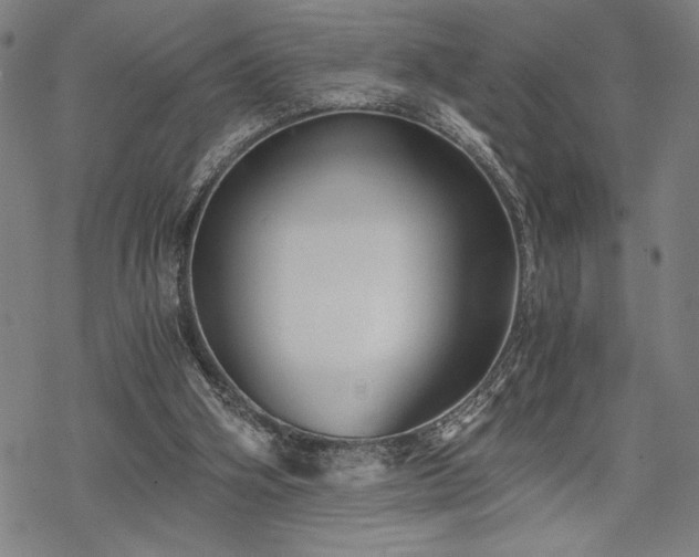 X0000069830106200605221217