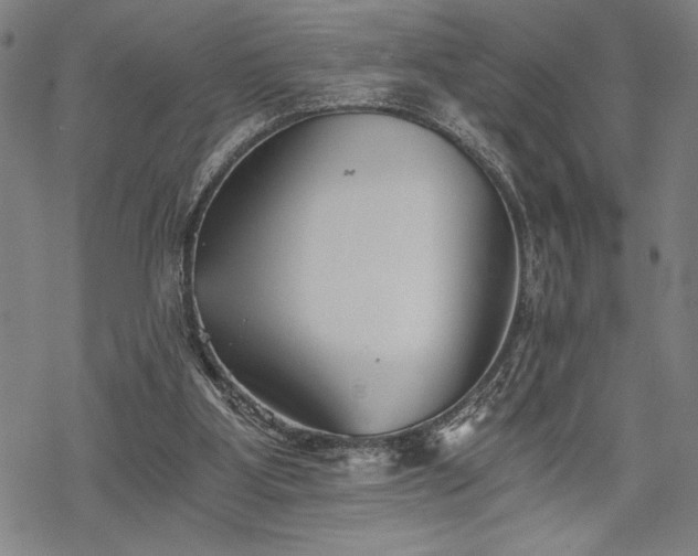 X0000069830107200605221217