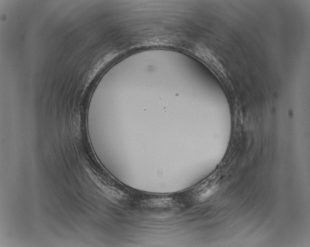 X0000069830108200605221217