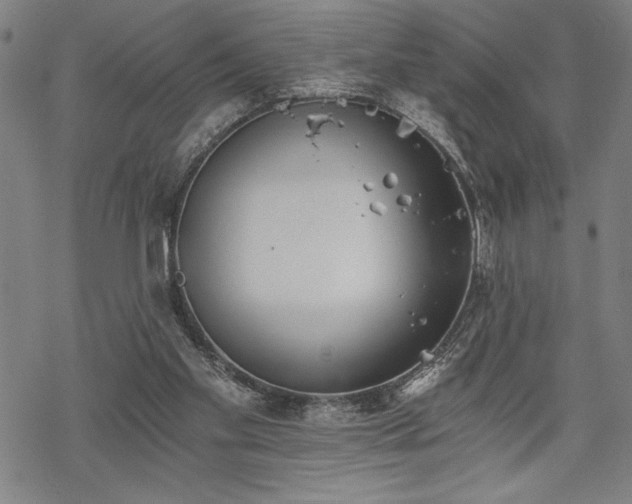 X0000069830109200605221217