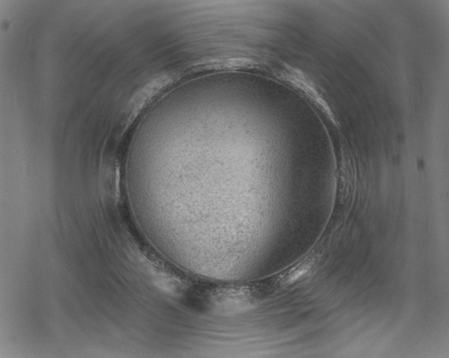 X0000069830110200605221217