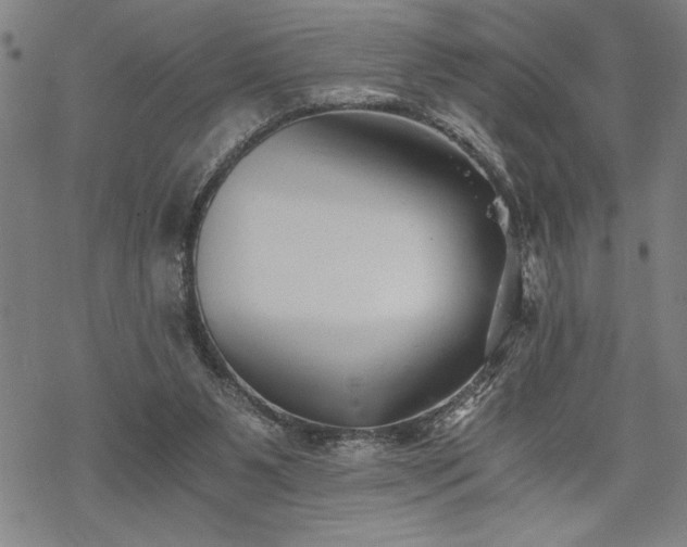 X0000069830111200605221217