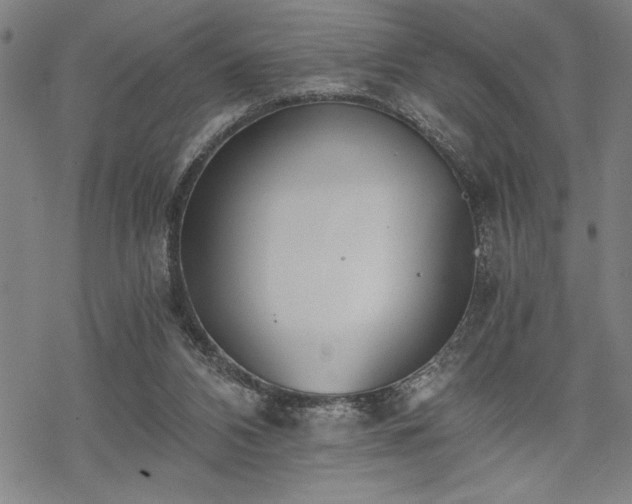 X0000069830112200605221217