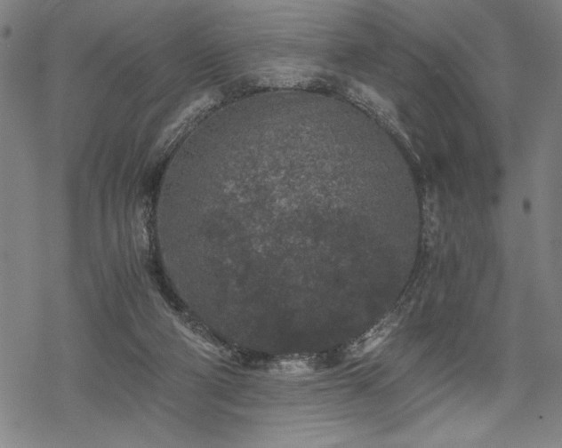 X0000069830114200605221217