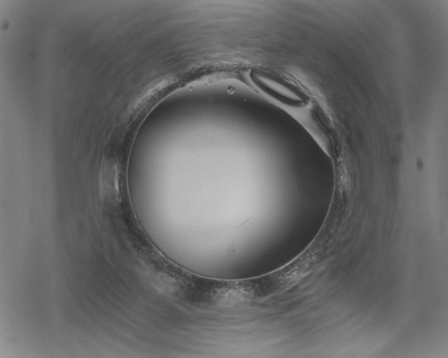 X0000069830115200605221217