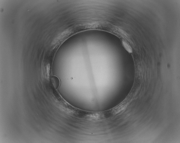 X0000069830118200605221217