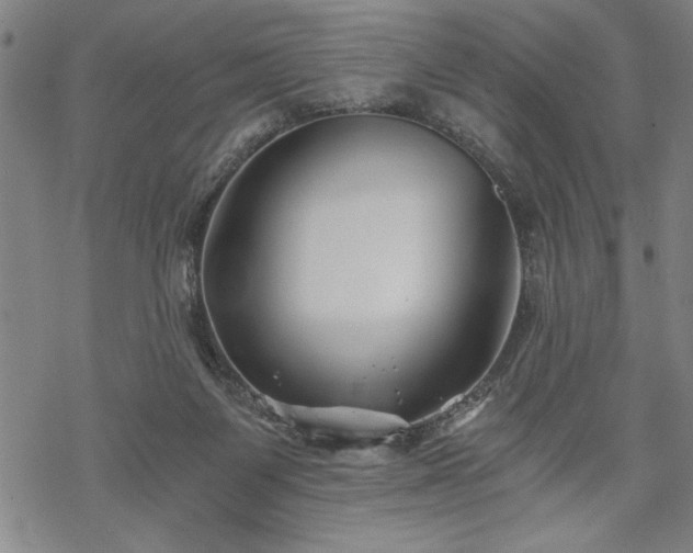 X0000069830119200605221217