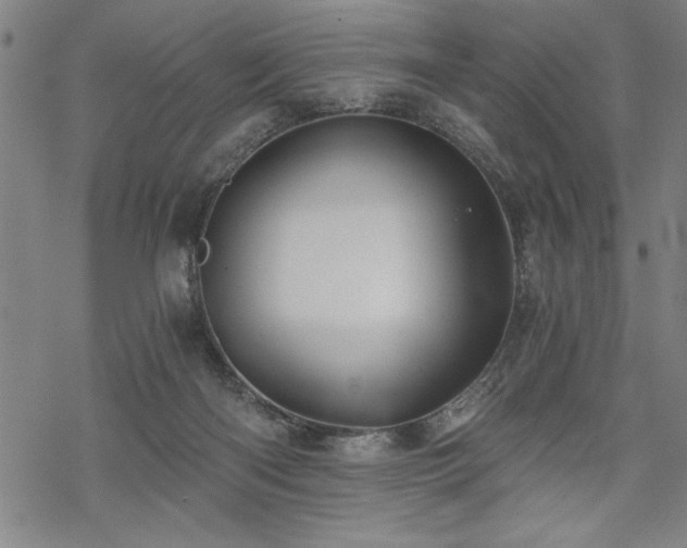 X0000069830122200605221217