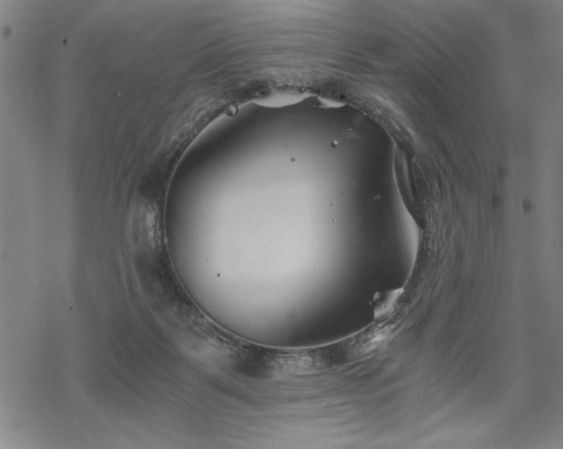 X0000069830123200605221217